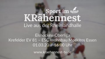 KRaehennest-TV_Krefelder EV 81 – ESC Wohnbau Moskitos Essen